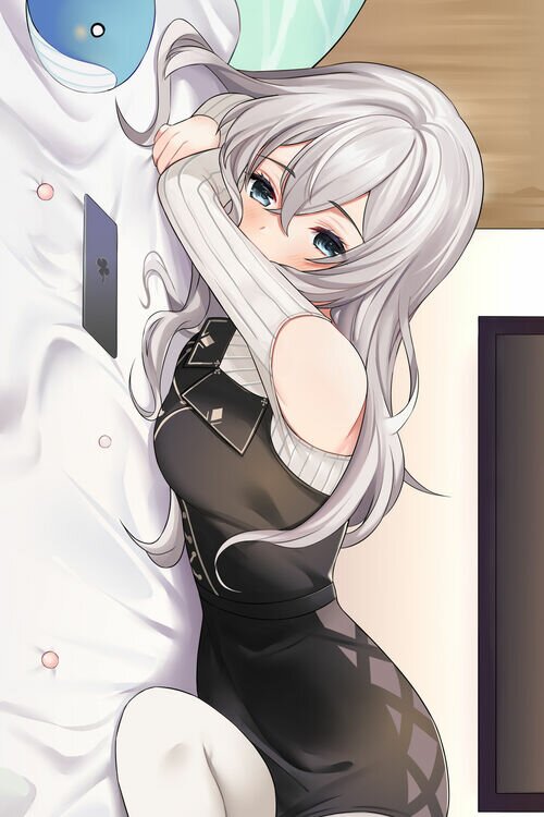 dakimakura cover